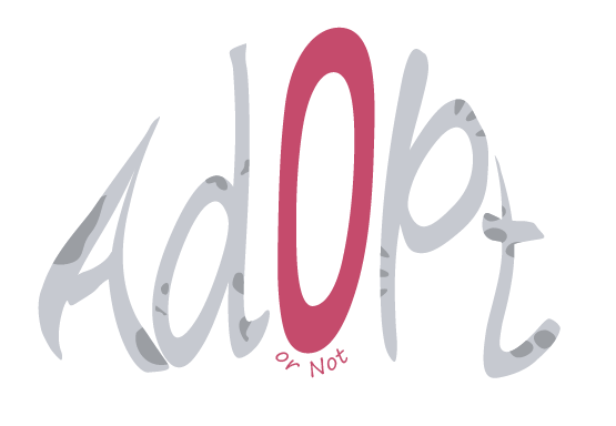 Logo du projet Adopt or Not